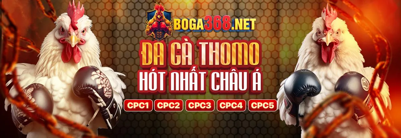 Đá gà kịch tính tại King78 trang chủ chính thức